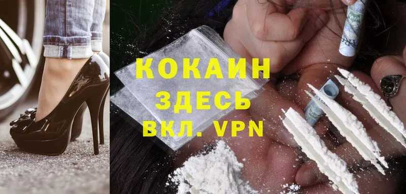 КОКАИН Fish Scale  Верхняя Пышма 