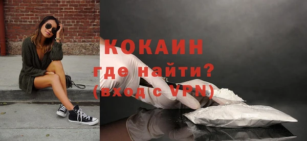 хмурый Видное