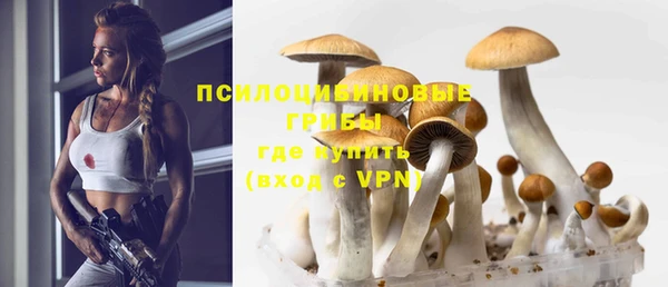 винт Балахна