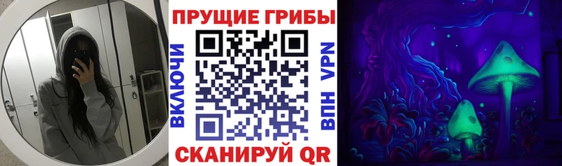 Псилоцибиновые грибы Psilocybe купить наркоту мега онион это как зайти Верхняя Пышма