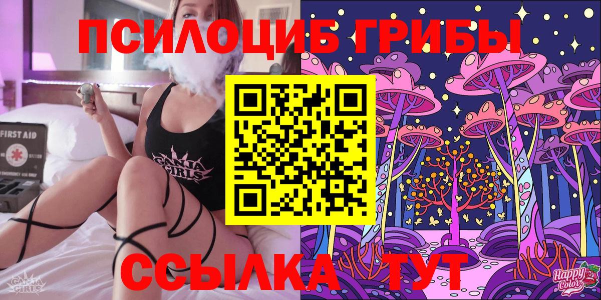 Псилоцибиновые грибы Psilocybine cubensis Верхняя Пышма