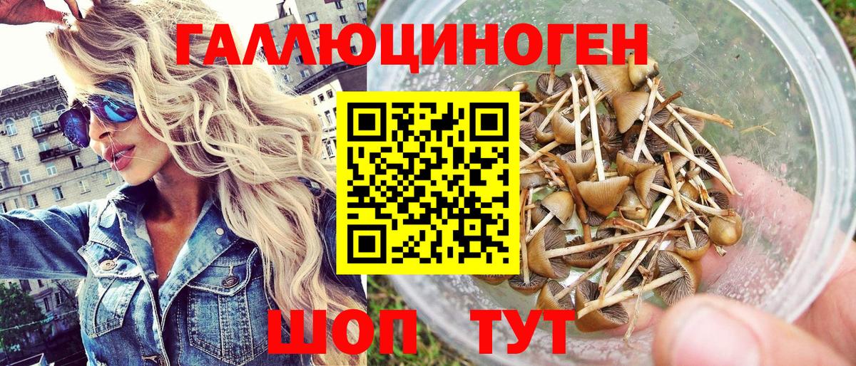 Псилоцибиновые грибы Magic Shrooms Верхняя Пышма