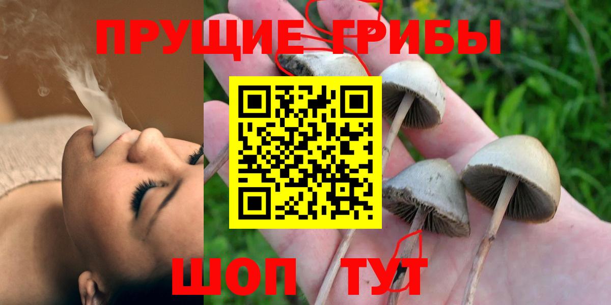 Верхняя Пышма  Галлюциногенные грибы мухоморы  где купить наркоту  Вход с VPN 