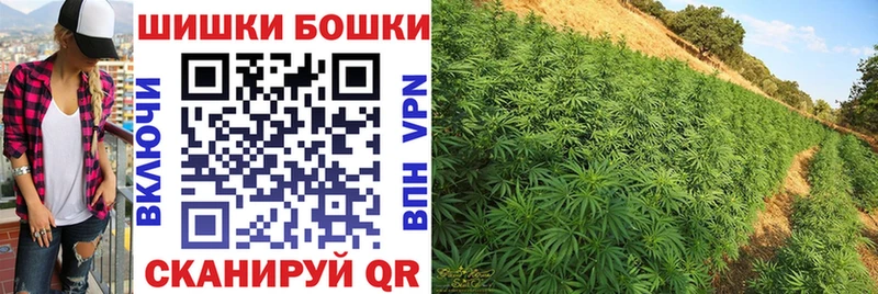 Бошки марихуана Bruce Banner Верхняя Пышма